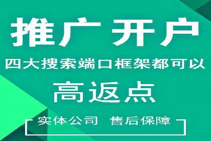 成功SEM代理案例：精准投放的策略